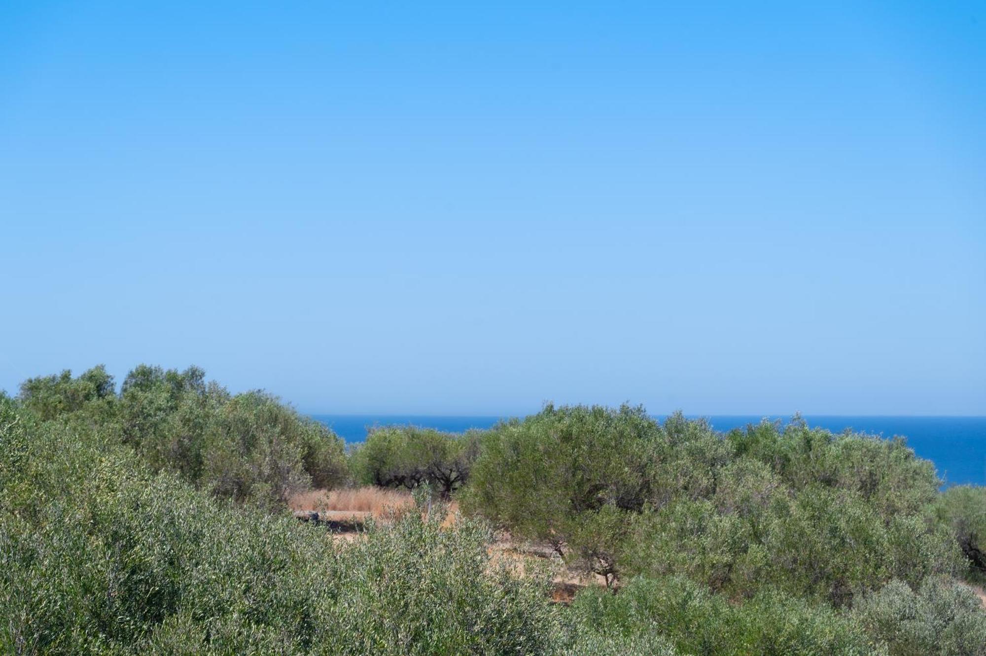 Nine Muses Villas Hersonissos  Exterior photo